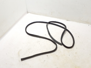   Trunk seal (on body)  - 8200032788 