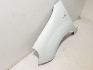 RENAULT Kangoo (2008–2020) Front fender 8200378534 - 2