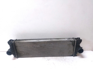 Intercooler - A9065010301