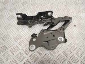 Hood hinge - 7418202