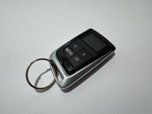 BMW X5 F15 (2013–2018) Webasto remote control 9338540 - 3