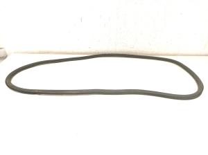   Rear side door seal on the door  - 11A867914B 