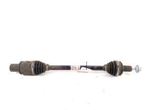 Rear drive shaft and its parts - A2433502901