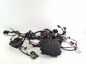 Engine wiring harness - A2435401016