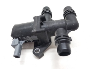 Auxiliary water pump - 9829266280