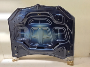 BMW X3 G01 (2017–2026) Motorhaube 8499153 - 4