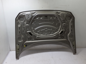 Motorhaube - 31108617