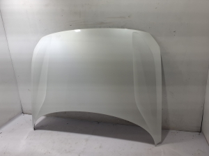 Motorhaube - 31108617