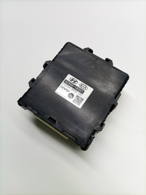 Hyundai Kona (2017–2023) Control unit 4295018001 - 4