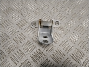  Front door lower hinge  -  