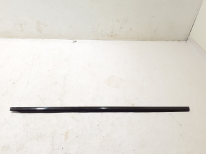   Fensterschachtleiste außen Tür hinten  - A1677306707 