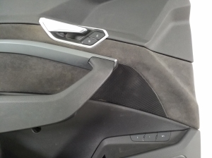 AUDI e-tron SUV (2018–2026) Priekšējo durvju apšuvums 4KL867103F - 3