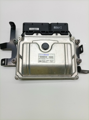 Motorsteuergerät - 3911004GA5