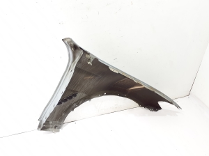 BMW X3 G01 (2017–2026) Front fender 7930973 - 2