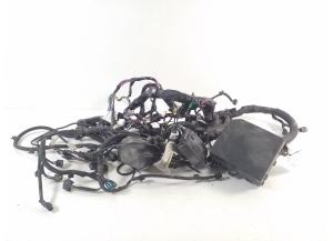 Engine wiring harness - 8501L386