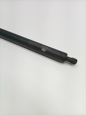 Hyundai IONIQ 5 I (2021–2026) Trunk lid strut 81841GI100 - 3