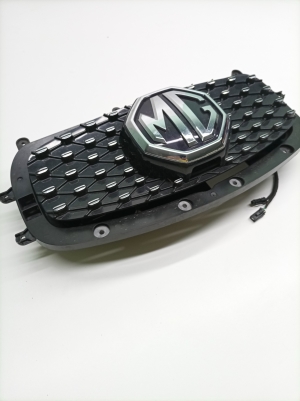 MG, ZS II (2017–2026) Front grille 10749241 - 2