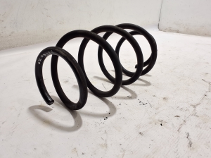 BMW X3 G01 (2017–2026) Front spring 6884937 - 2