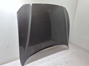 Motorhaube - 31468159