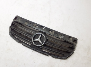 Front grille - A4205030000