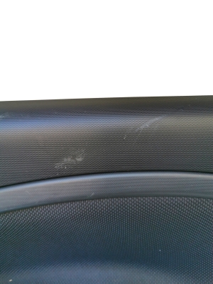 Smart Forfour (2014–2026) Front door panel 156089061 - 3