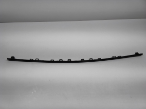 Front bumper trim strip - A1678851410