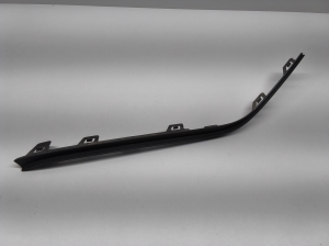 Front bumper trim strip - A2548852301