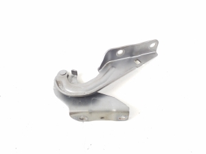   Kapoti hing  - MN175241 