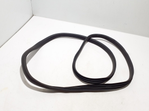 Dacia Duster (2017–2024) Front door rubber seal 808321467R - 2