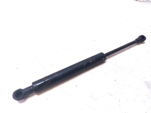 BMW X6 E71 (2008–2014) Hood prop/gas strut - 2