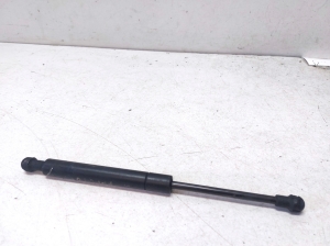 BMW X6 E71 (2008–2014) Hood prop/gas strut - 3