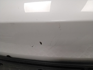 Tesla Model 3 3 (2016–2024) Esikaitseraud - 6