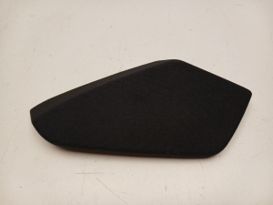 Speaker grille - A2156902130