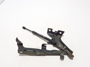   Kapoti hing  - 31352879 
