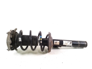 Front shock absorber and its components - 1EA412021BP
