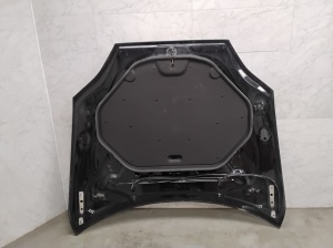 Tesla Model S S (2012–2026) Motorhaube - 11
