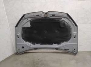 Volkswagen Golf VII (2012–2026) Hood - 8