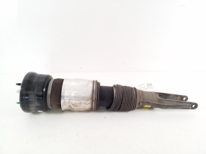 Porsche Panamera 970 (2009–2016) Front shock absorber 97034305222 - 2