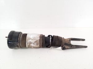 Porsche Panamera 970 (2009–2016) Front shock absorber 97034305122 - 3