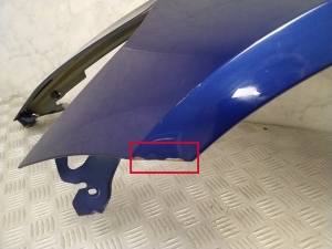 Tesla Model 3 3 (2016–2024) Front fender - 9