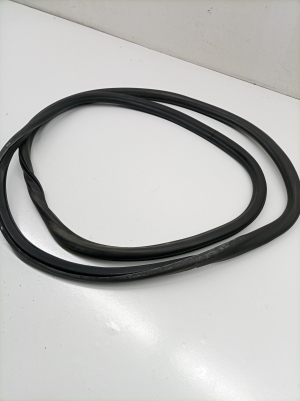 Opel Insignia (2017–2026) Front door rubber seal 13463862 - 2