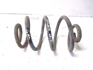 Rear spring