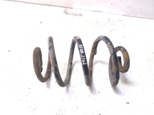 Rear spring