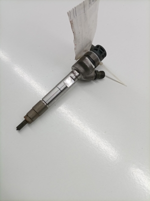 TOYOTA RAV 4 A4 (2012–2018) Kütusepihusti 0445110613 - 2
