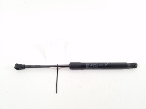 Kapoti tugi/gaasamortisaator - 00521380950