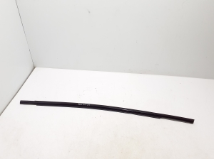 Fensterschachtleiste außen Tür hinten - LJ8BR25604AC