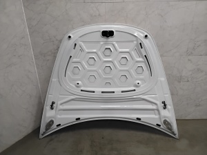Tesla Model 3 3 (2016–2024) Motorhaube - 6