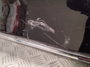 Volkswagen Passat B8 (2014–2023) Heckstoßstange 3G9807421 - 13