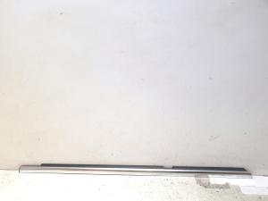 Fensterschachtleiste außen Tür hinten - A1646907980