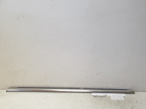 Rear side door outer window molding - 